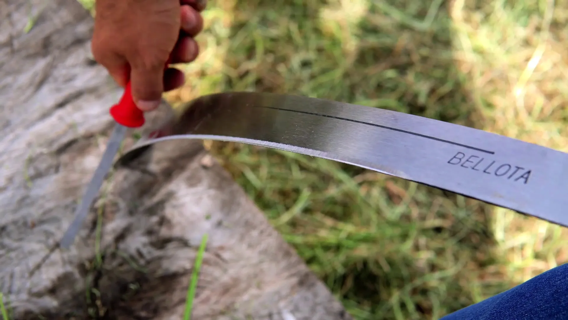 corte de maleza con machete, una técnica tradicional venezolana