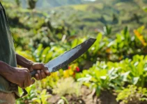 El machete como herramienta multifuncional en jardinería y agricultura, explorando sus usos