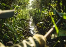 Uso del machete en la limpieza y conservación de senderos acuáticos, estrategias efectivas