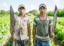 Cómo el peso y tamaño del machete afectan tu eficiencia en el campo