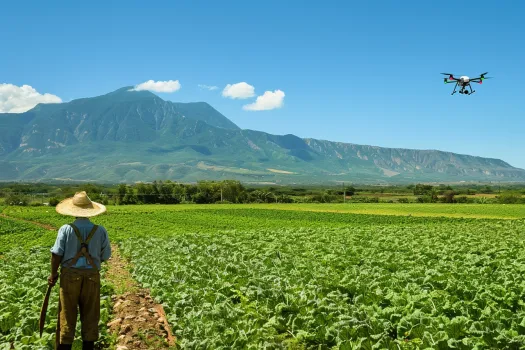 El Machete y la Agricultura de Precision Combinando Tradicion con Tecnologia