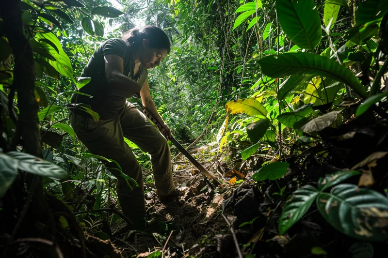 Preparando el Terreno con Machete Fundamentos para Senderos Seguros